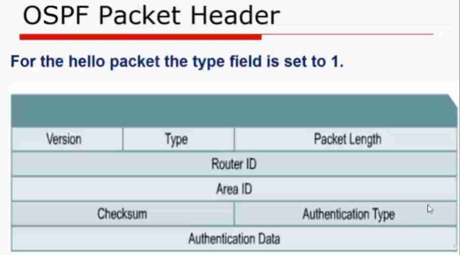 OSPF_Header